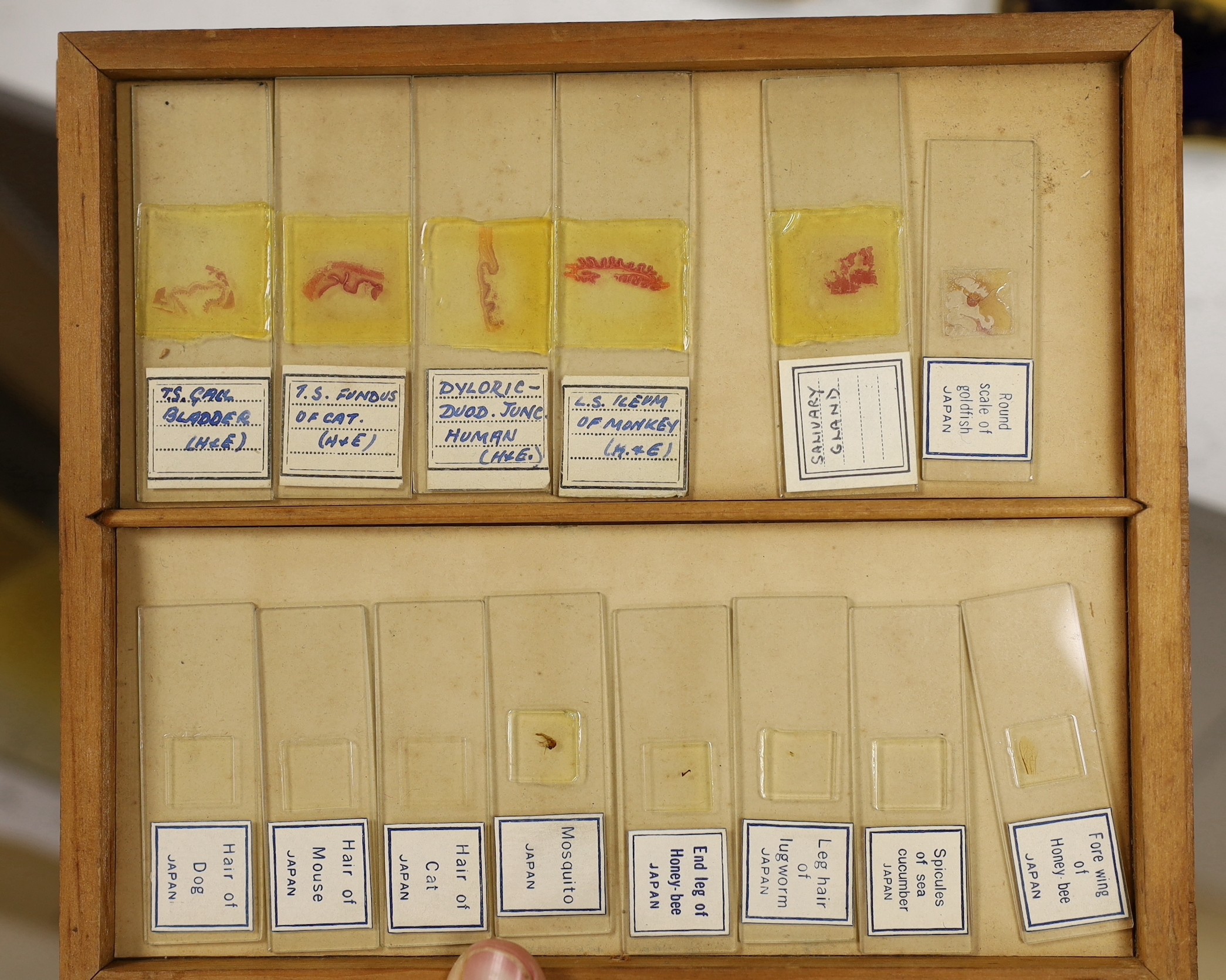 A collection of approximately 200 Victorian and later microscope slides in late 19th century cabinet. Ivory submission reference: UKC532GL